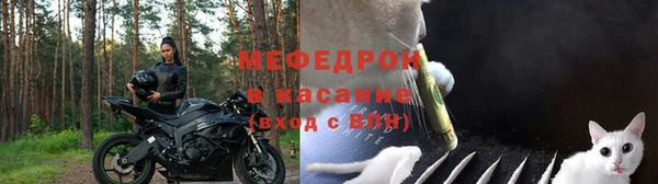 стафф Зеленокумск
