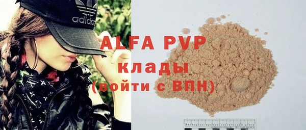 стафф Зеленокумск