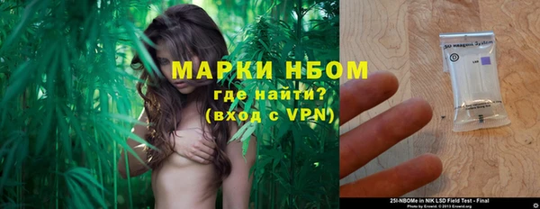 стафф Зеленокумск