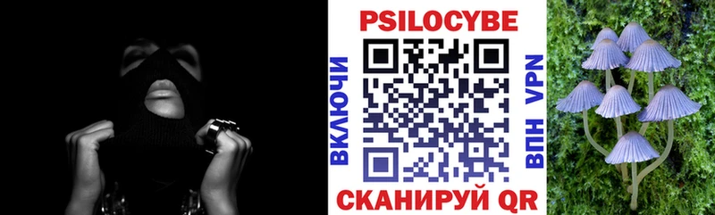 Галлюциногенные грибы MAGIC MUSHROOMS  Пятигорск 